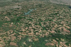 araucaria-ss-campestre