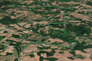 araucaria-ss-estanislau