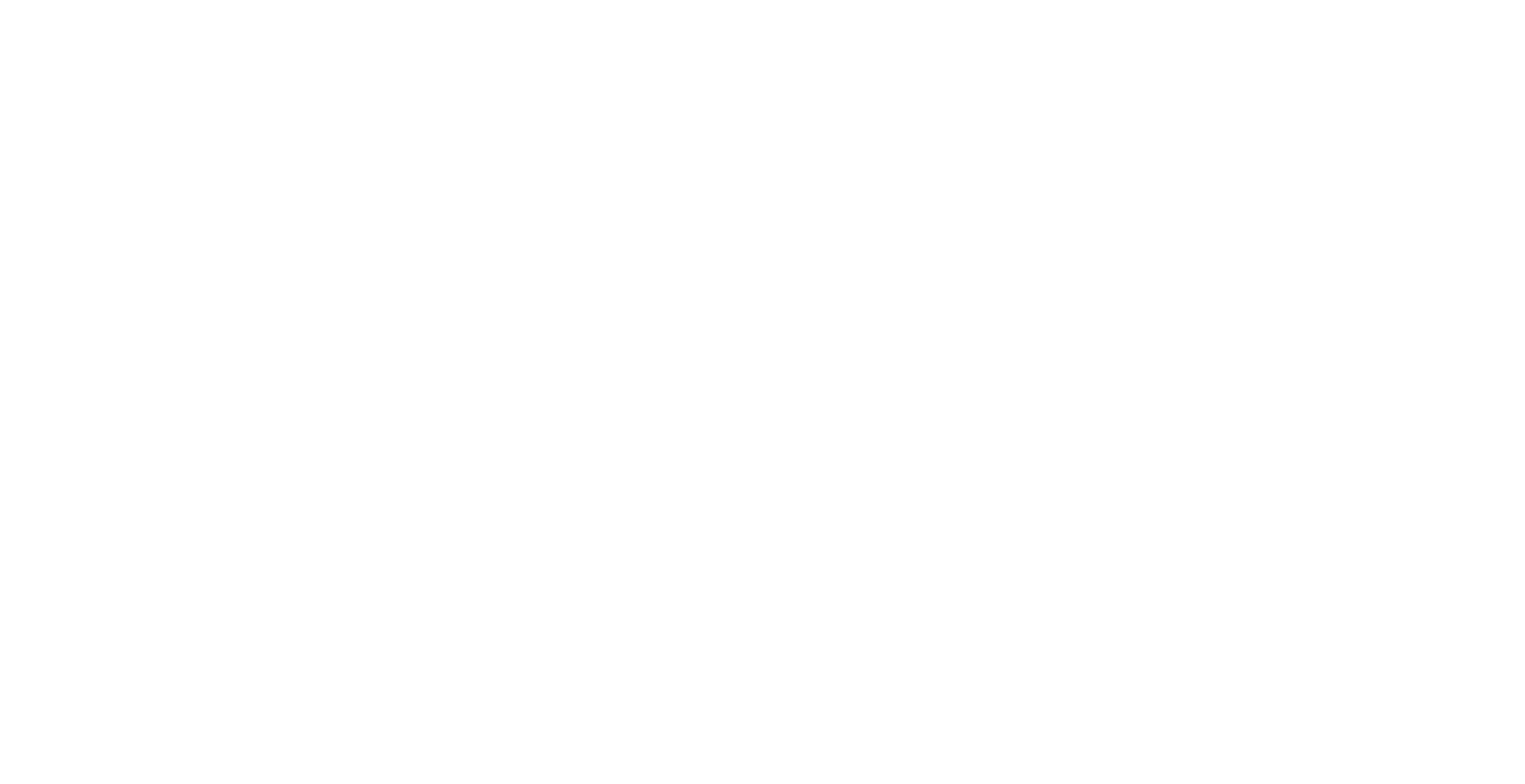 Rally Rio Negrinho